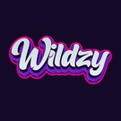 Logo Wildzy Casino